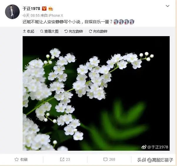 天后·戏精·宫斗(三):钮祜禄·于正与他的“丫头文学”