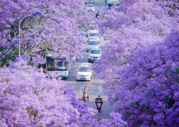云南各地方是如何看待昆明的,云南各地怎么评价昆明人