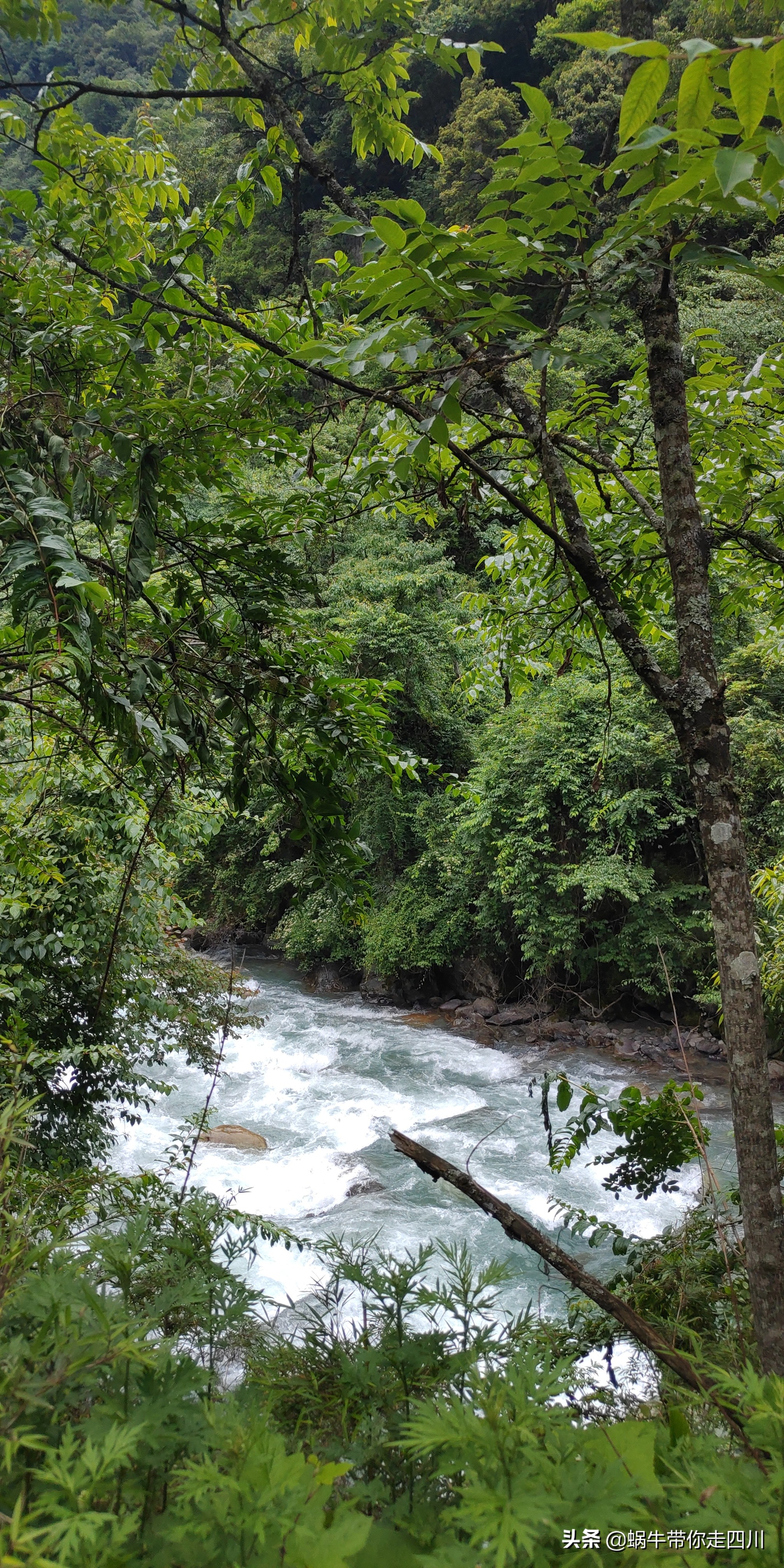 成都到西藏旅游一家三口,成都出发三天两夜旅行套票