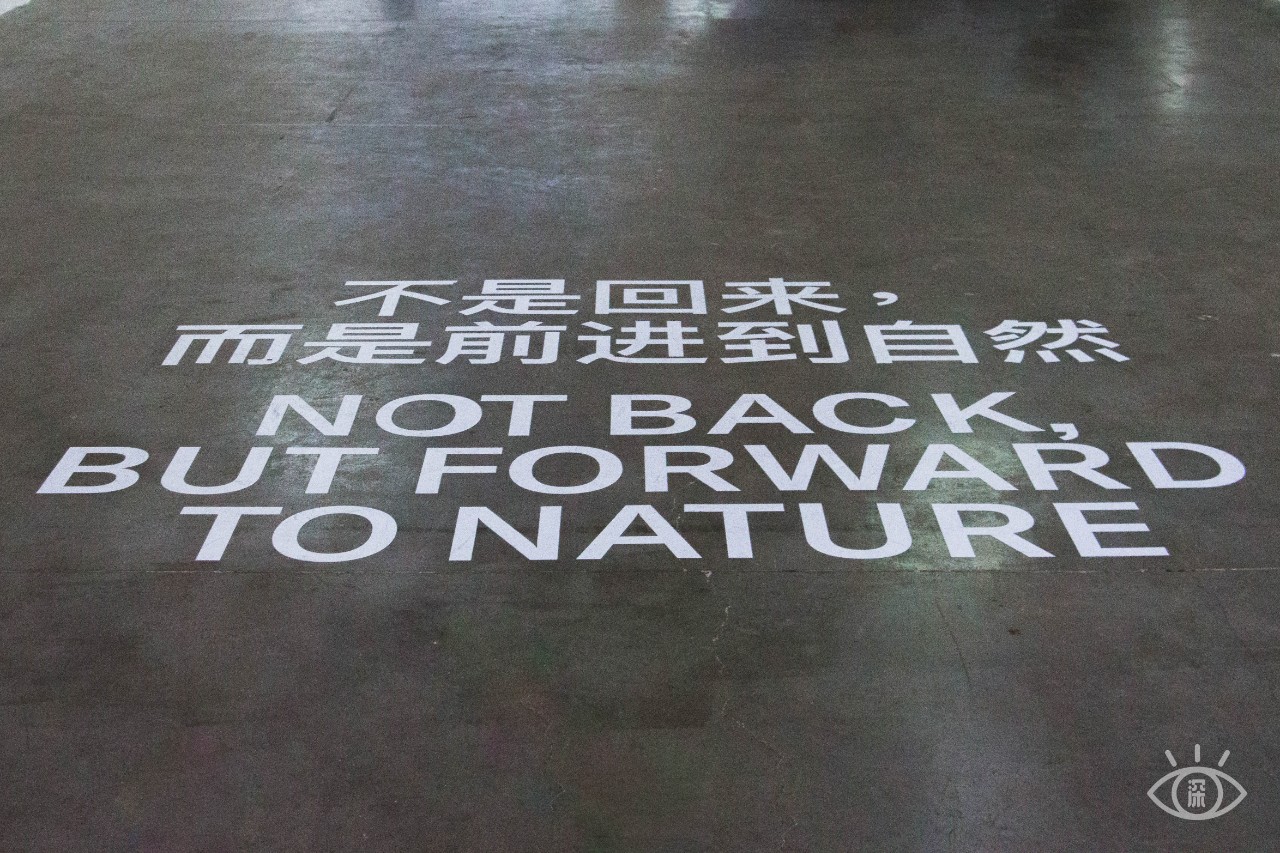 深圳福田美术馆,深圳艺术博物馆有什么值得看的