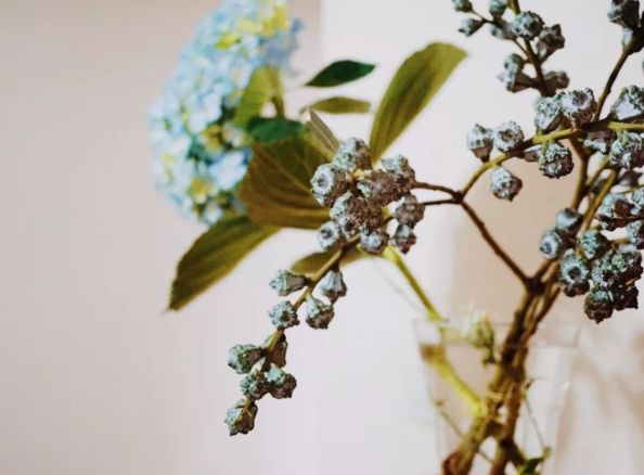 适合干花的装饰,简单的干花装饰