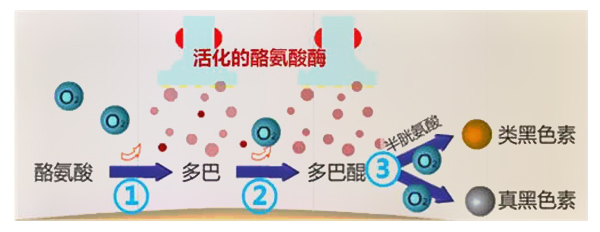 脸上痘印多久会自行消失,在脸上挤痘痘留下的痘印会消失吗