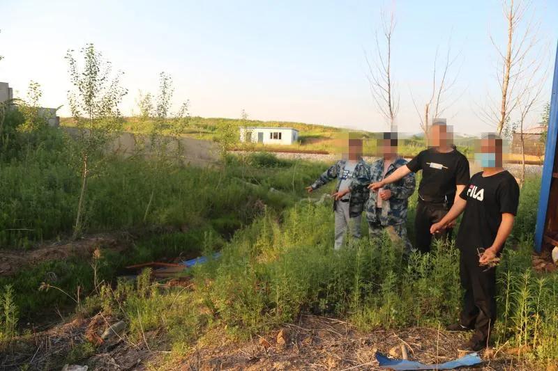 浓浓“黑水”超100吨直排河道，鱼虾死亡恶臭刺鼻令人作呕，长春双阳公安分局破获一起重大环境污染案件