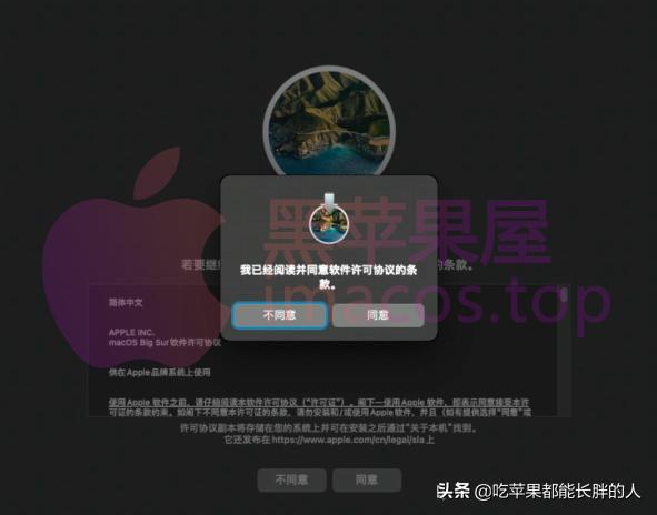 零基础2021最新macOSBigSur黑苹果安装完整教程opencore引导