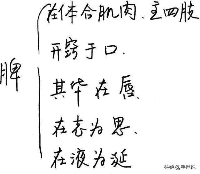 湿热的根源——脾胃虚弱