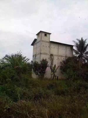 印尼燕窝跟马来燕窝哪个好,sohealthy燕窝是印尼燕窝吗