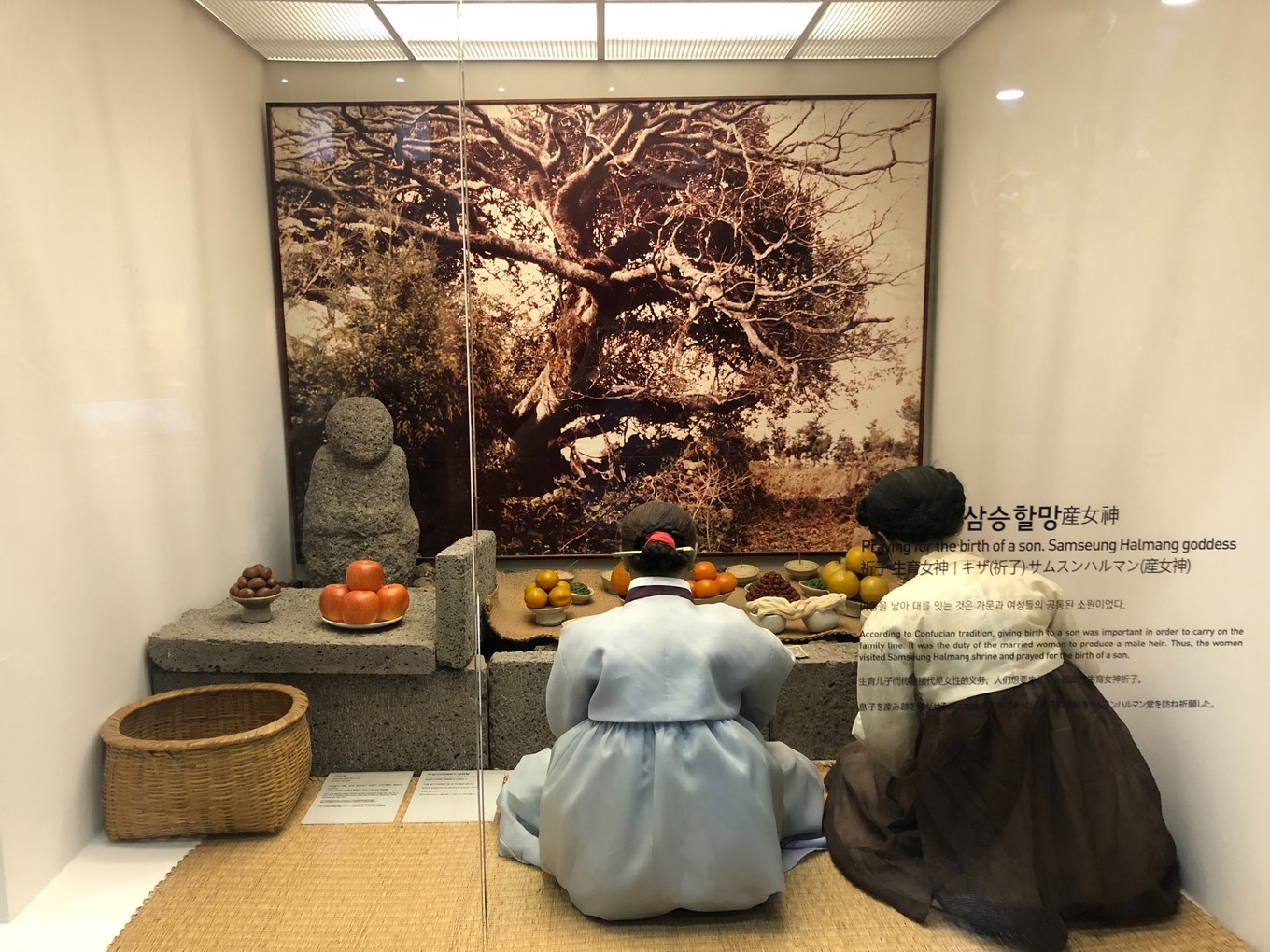 不会韩语如何去韩国玩,不会韩语怎么去韩国旅游