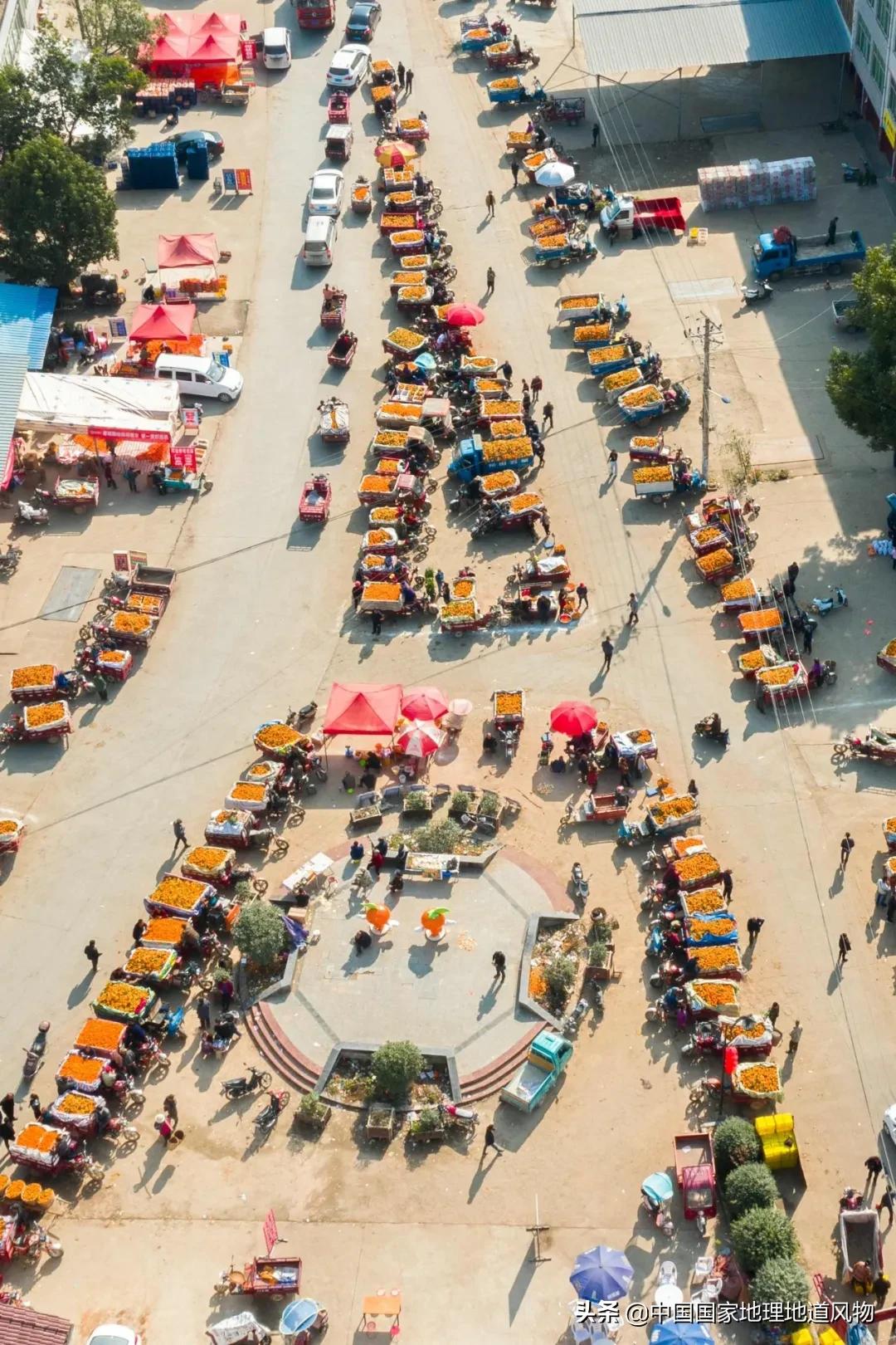 陕西水果第一大省有什么水果,陕西盛产水果吗