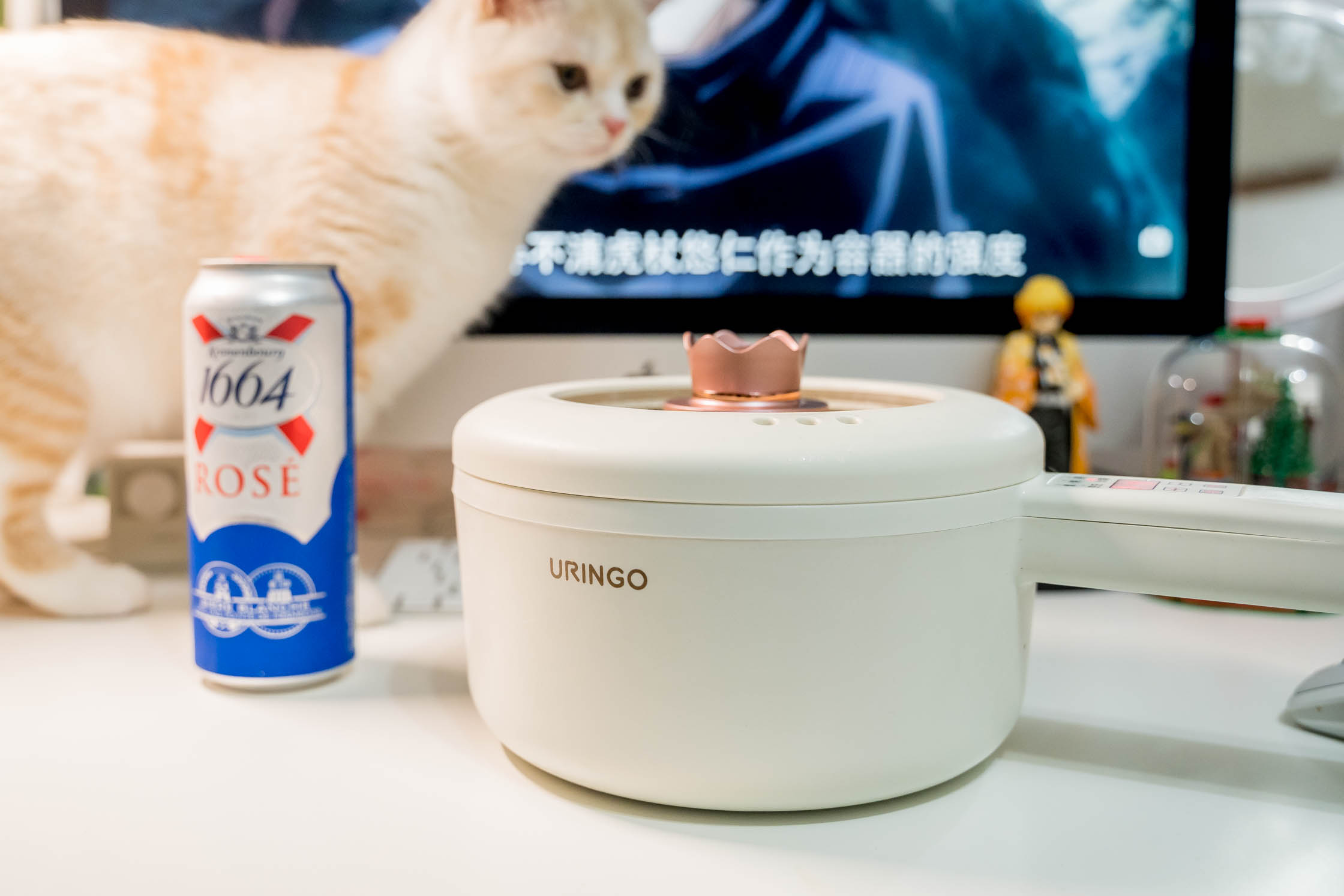 七彩小型电煮锅,热卖多功能电煮锅