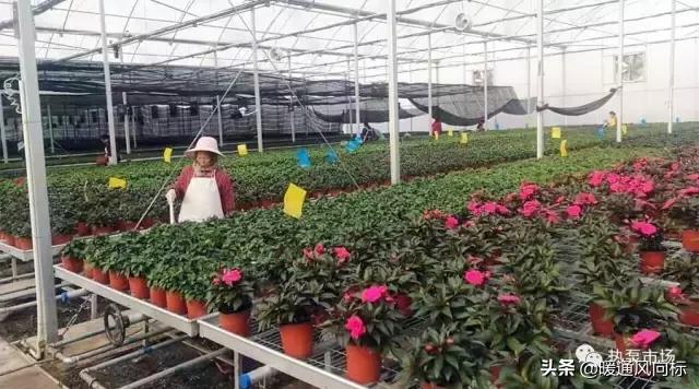 温室大棚暖通设计依据,冬季蔬菜大棚采暖热负荷计算