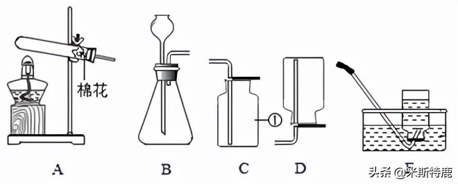 第04讲我们一起制氧气-2022年中考化学一轮总复习基础通关