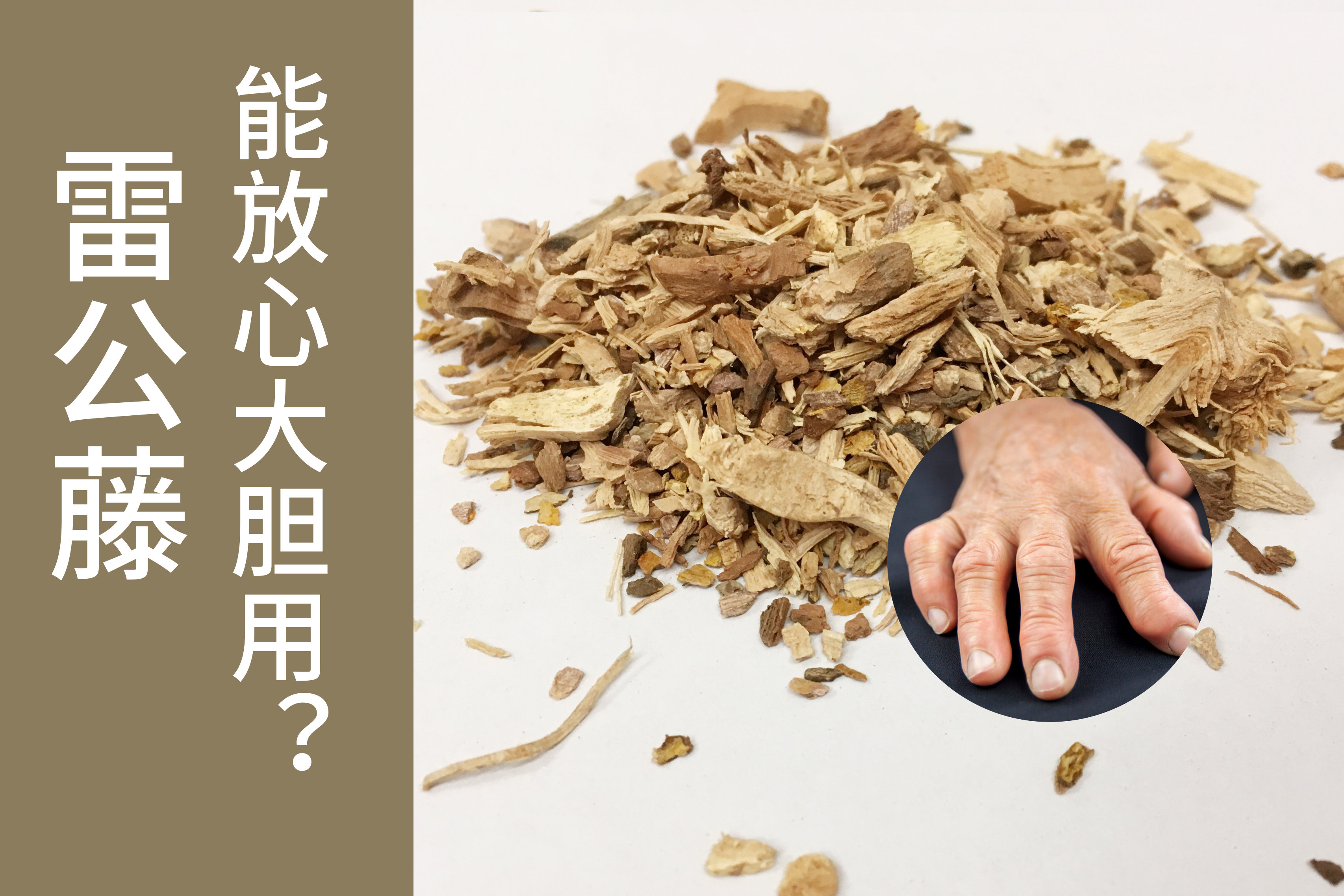 雷公藤治疗类风湿最好药,雷公藤是不是治风湿的