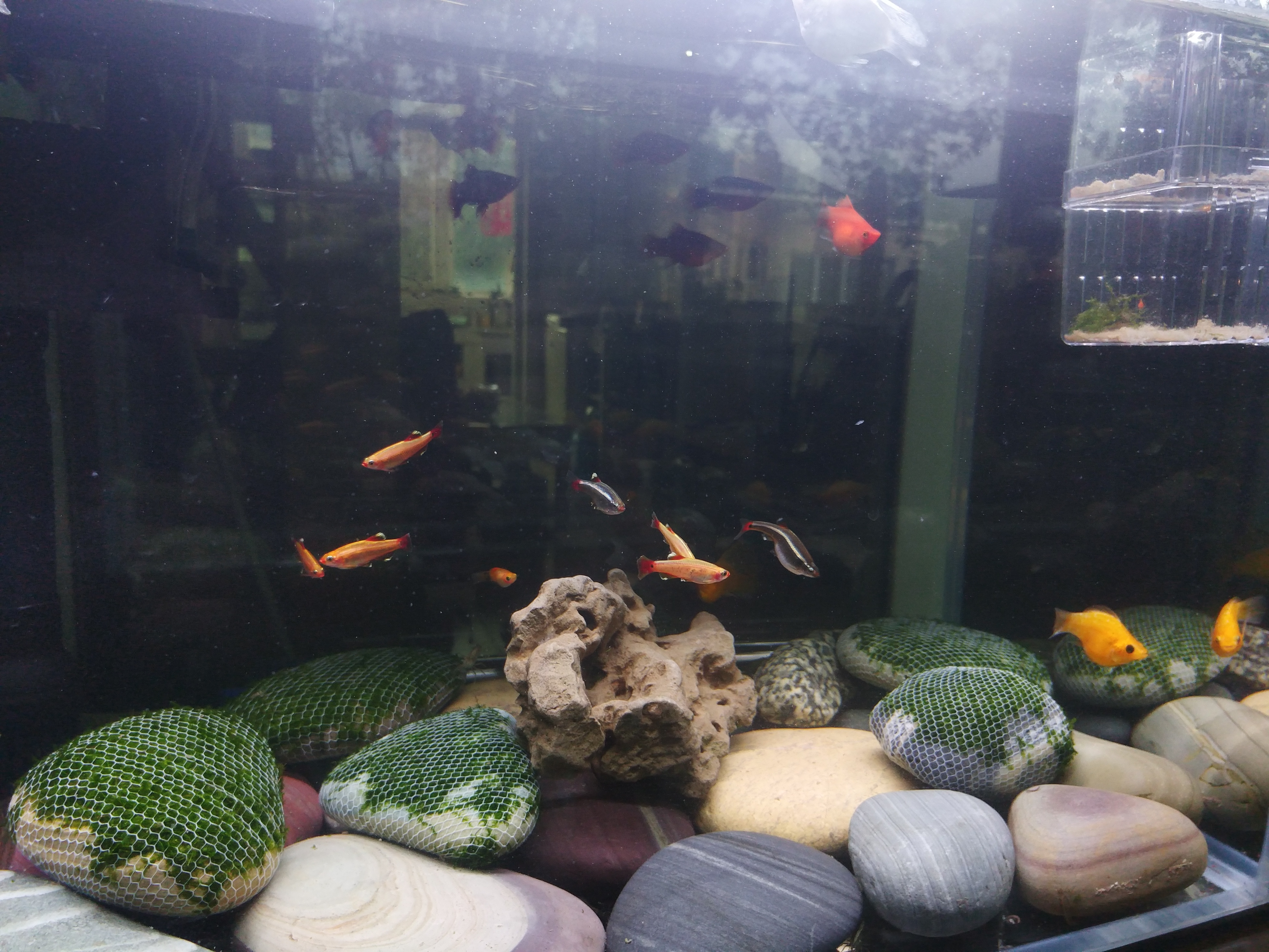 预算只有200元可以买一套路亚吗,预算只有200不在网上买能买什么