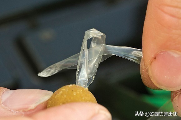 话说欧鲤钓组全集,欧鲤钓法pva