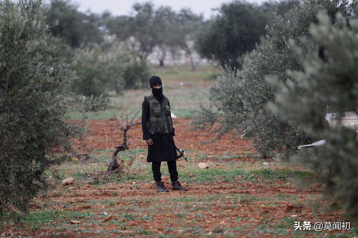 7500万土耳其里拉是多少人民币,叙利亚橄榄油土耳其