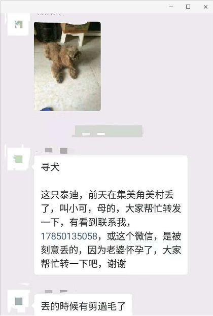饲养猫狗可以治疗不孕不育，这个知识点你需要了解