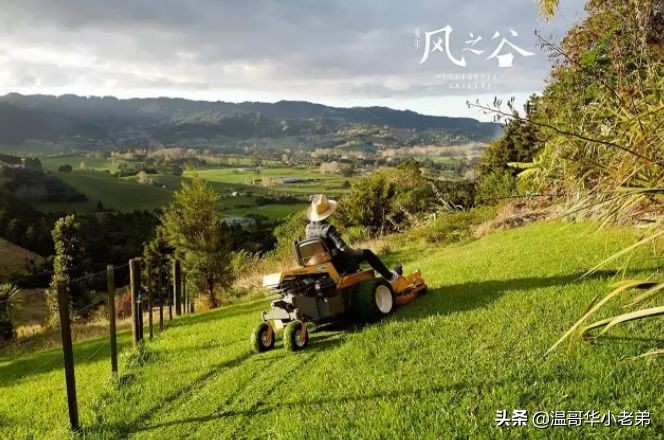 十几年的夫妻感悟,十年的老华人含泪感悟