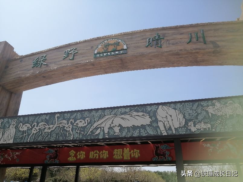 北京市延庆野生动物园,北京野生动物园攻略一日游路线图