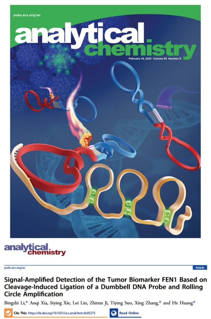 南师大的专项技术有哪些,南大科研成果入选十大科技进展