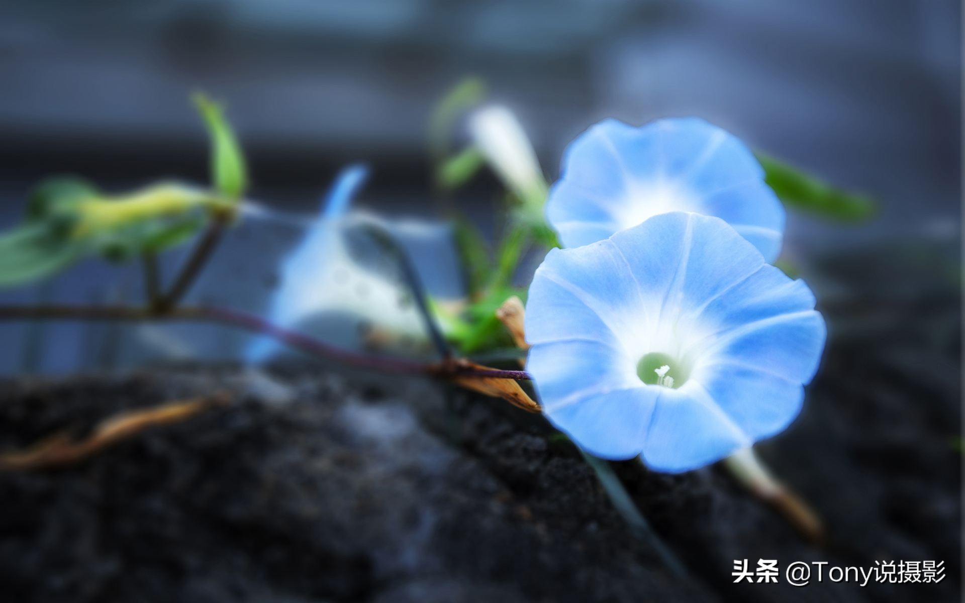 相机拍照入门基础知识和技巧,相机摄影入门教程从零开始学摄影