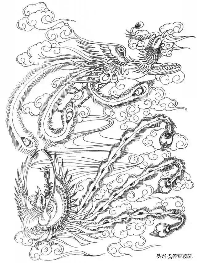 凤凰绘画中国风线稿,凤凰白描线稿特点