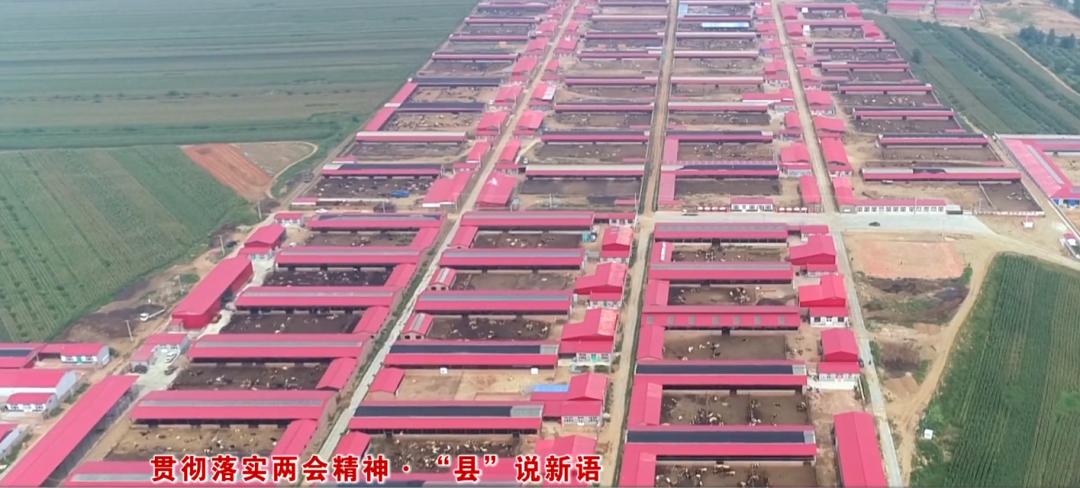 贯彻落实国发2号文件精神发言,贯彻落实县经济工作会议精神的报告