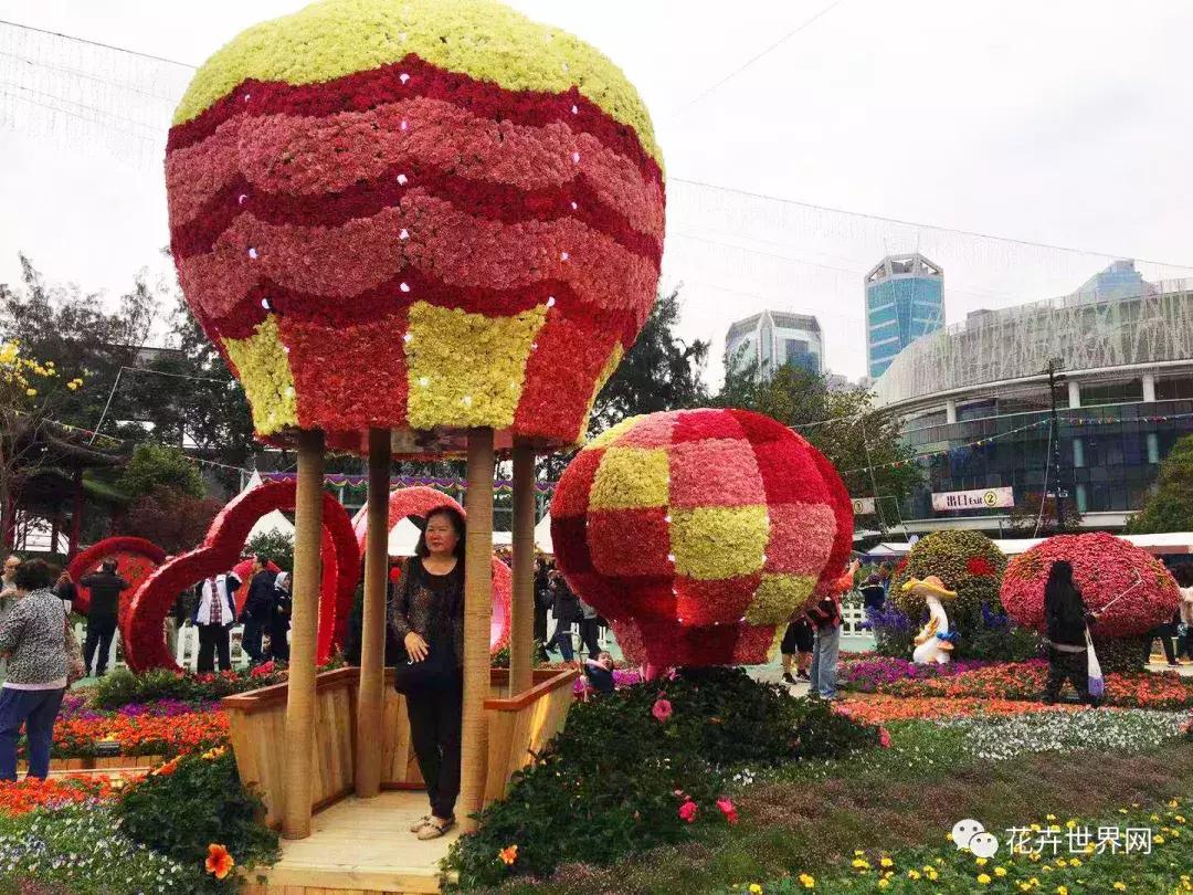 香港花卉艺术展,共赴盛会活动