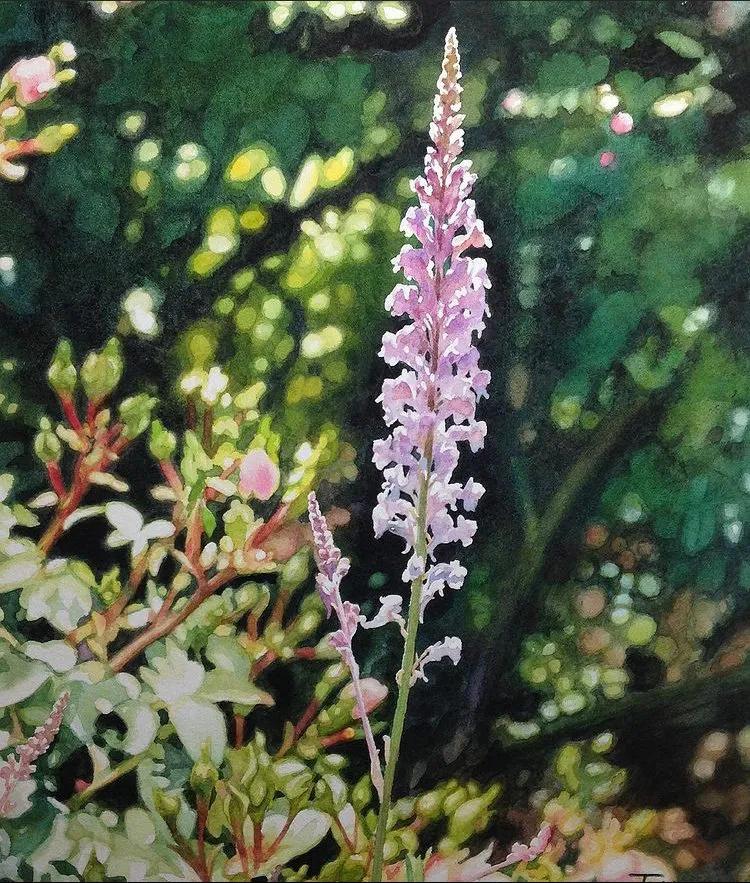 钻石思维的12种思维逻辑,好书推荐受益一生的世界顶级思维