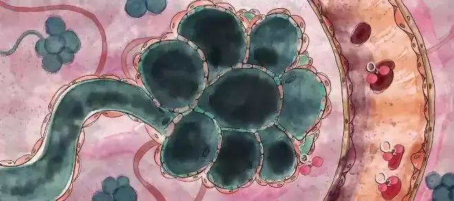 戒不戒烟对孩子有影响吗,不要因为自己而害了孩子