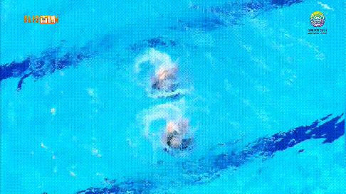 花样游泳锦标赛冠军,花样游泳世锦赛2024几块金牌