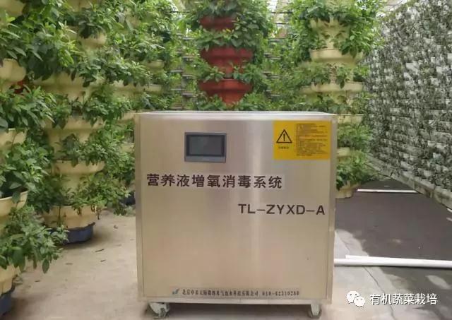 水培蔬菜种植的基础知识,水培蔬菜家庭版水培生菜