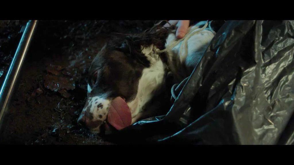 受害者被判了冤罪,遭网暴后续身亡的网友