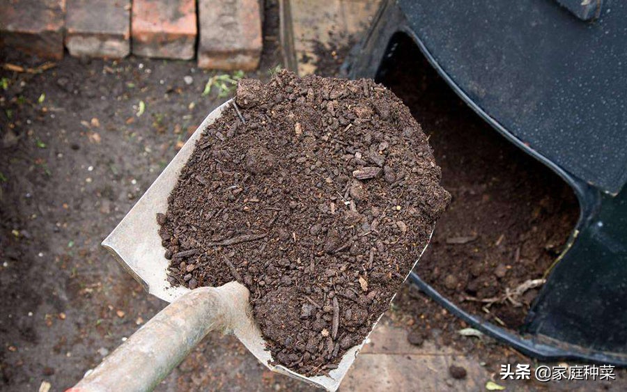 堆肥有虫怎么处理,堆肥长虫了还能用吗