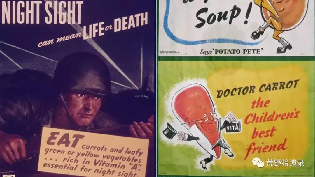 你知道胡萝卜是怎么来的吗,胡萝卜的演化史