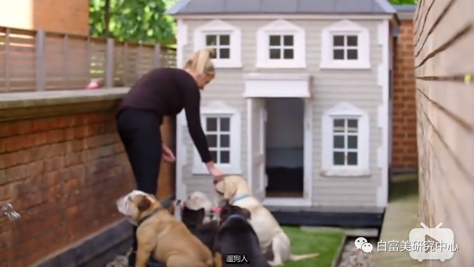 名媛40亿身价,身价36亿名媛