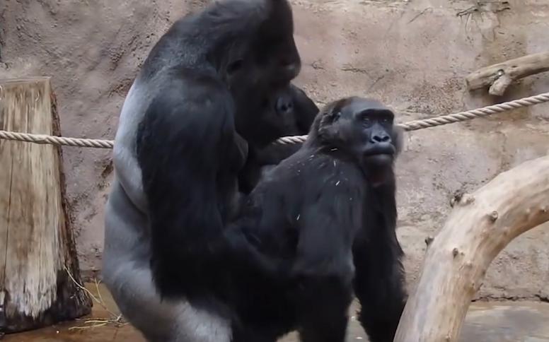 人造子宫实现让人类复活,人类能接受人造子宫吗