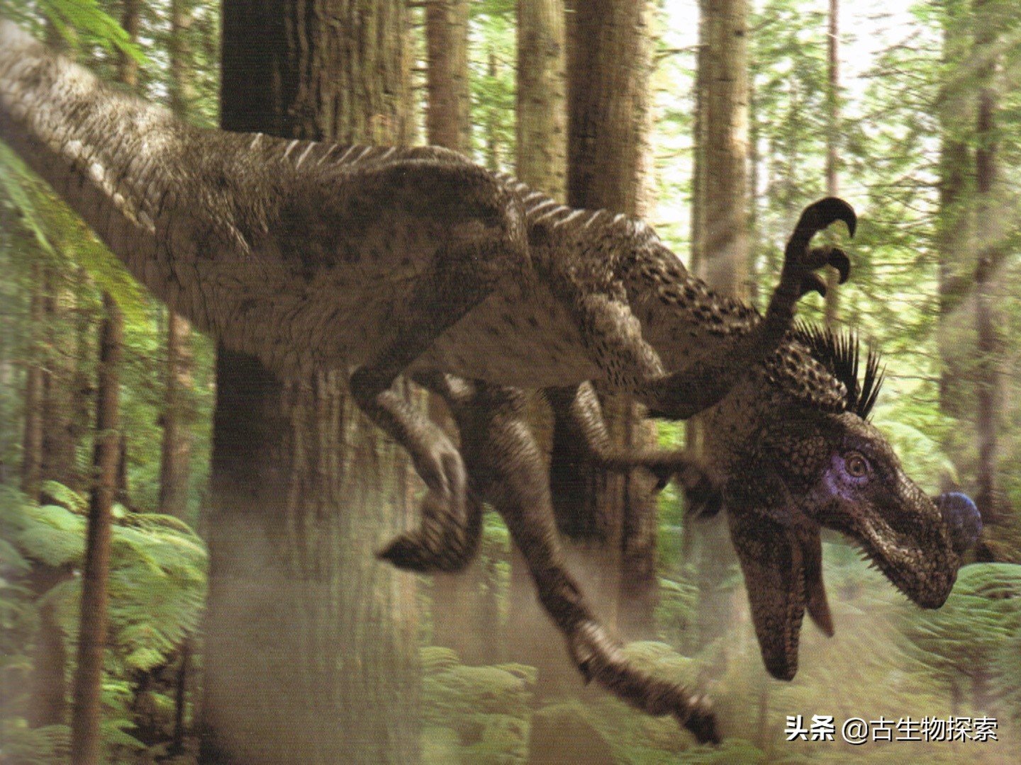 北美洲的恐龙有哪一些,阿根廷发现最古老巨型恐龙