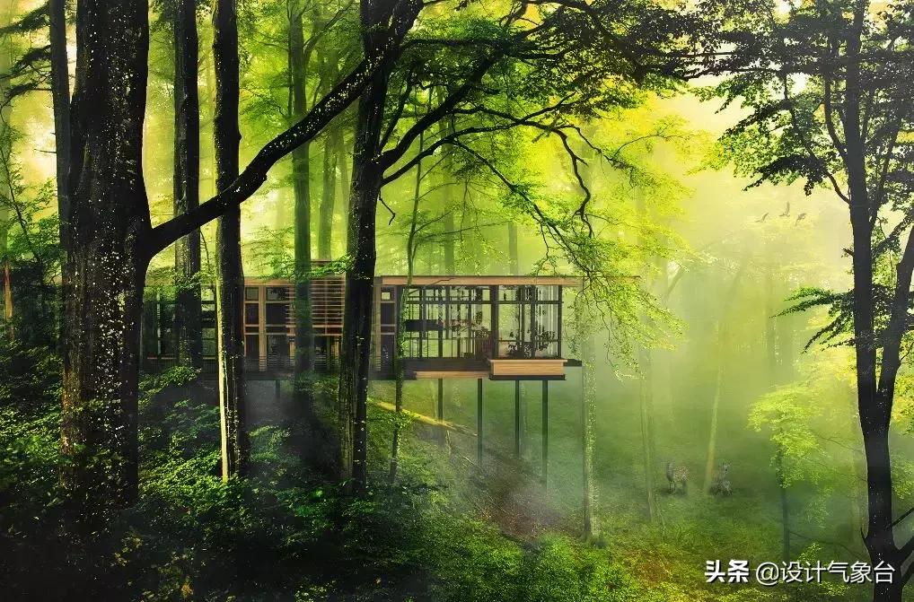 4000美金图片,五万美元效果图