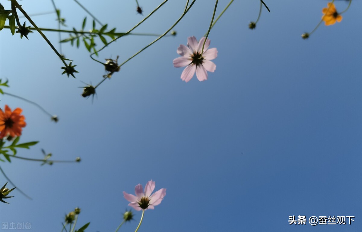 涪陵和永川谁发展更好,涪陵和江津谁发展更好