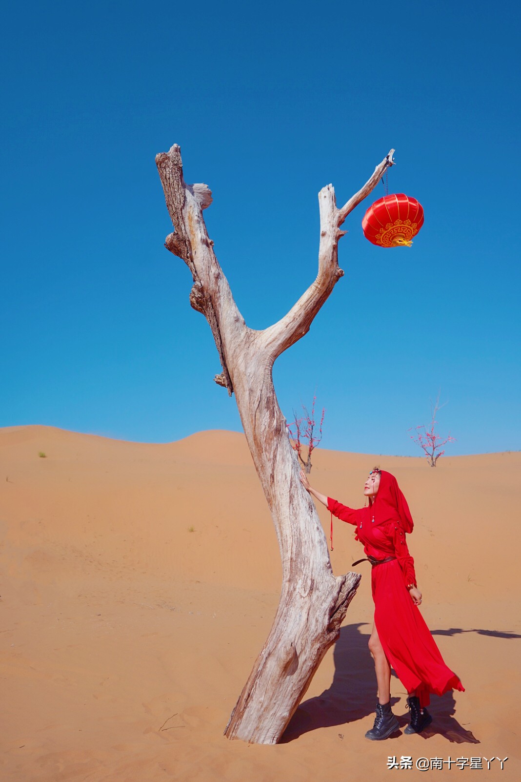 宁夏沙坡头沙漠美景,沙坡头沙漠区和黄河区
