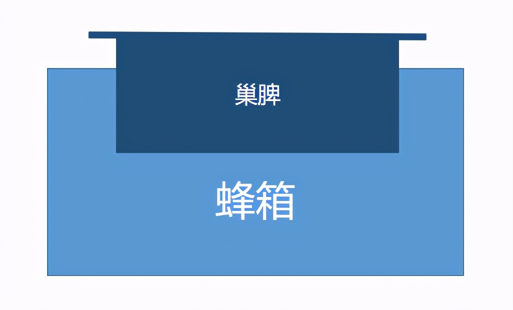 蜜蜂养殖技术全过程中蜂怎样喂食,蜜蜂养殖怎么吸引蜜蜂