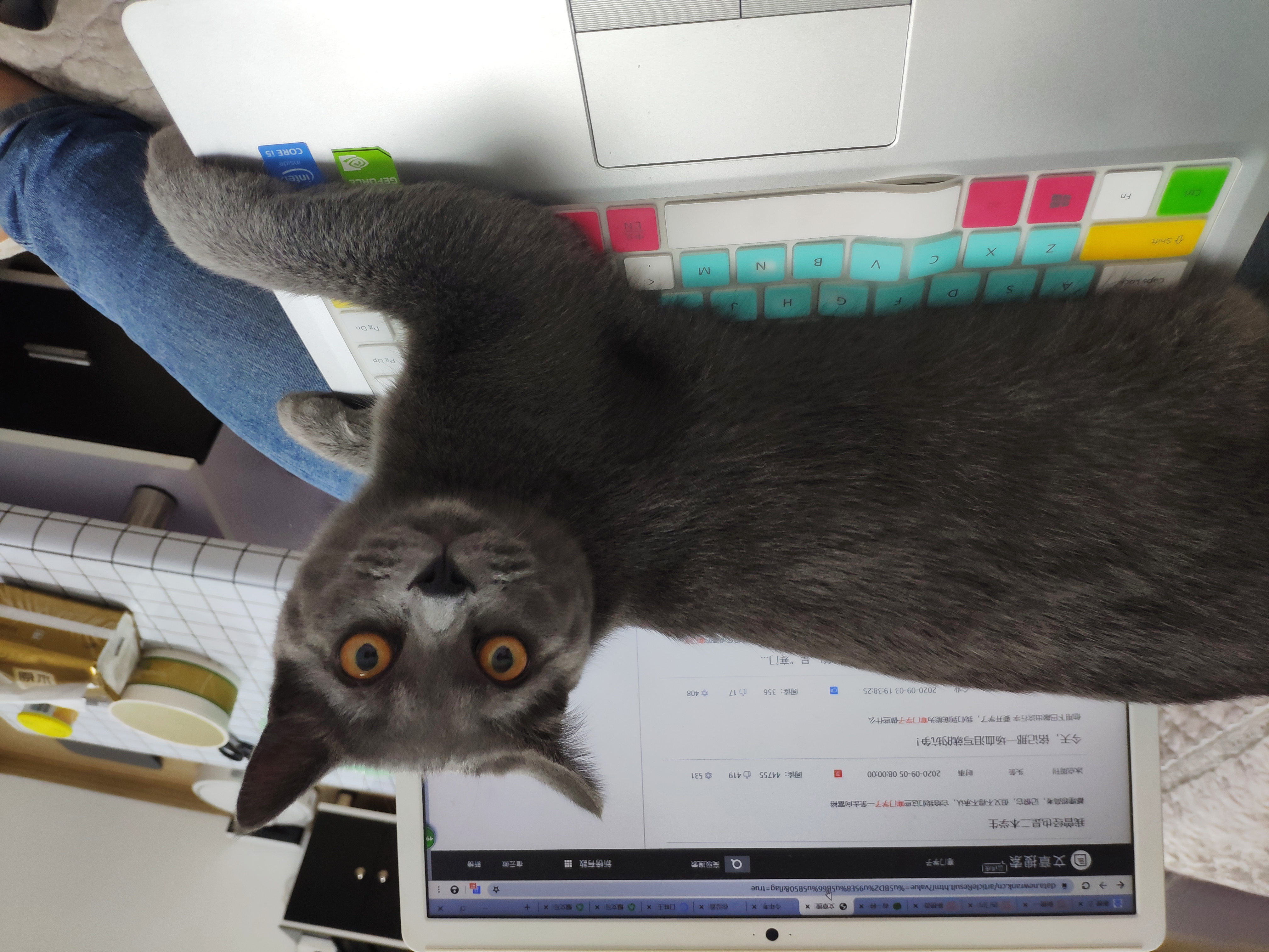 我的公考之路20,公考的心路历程