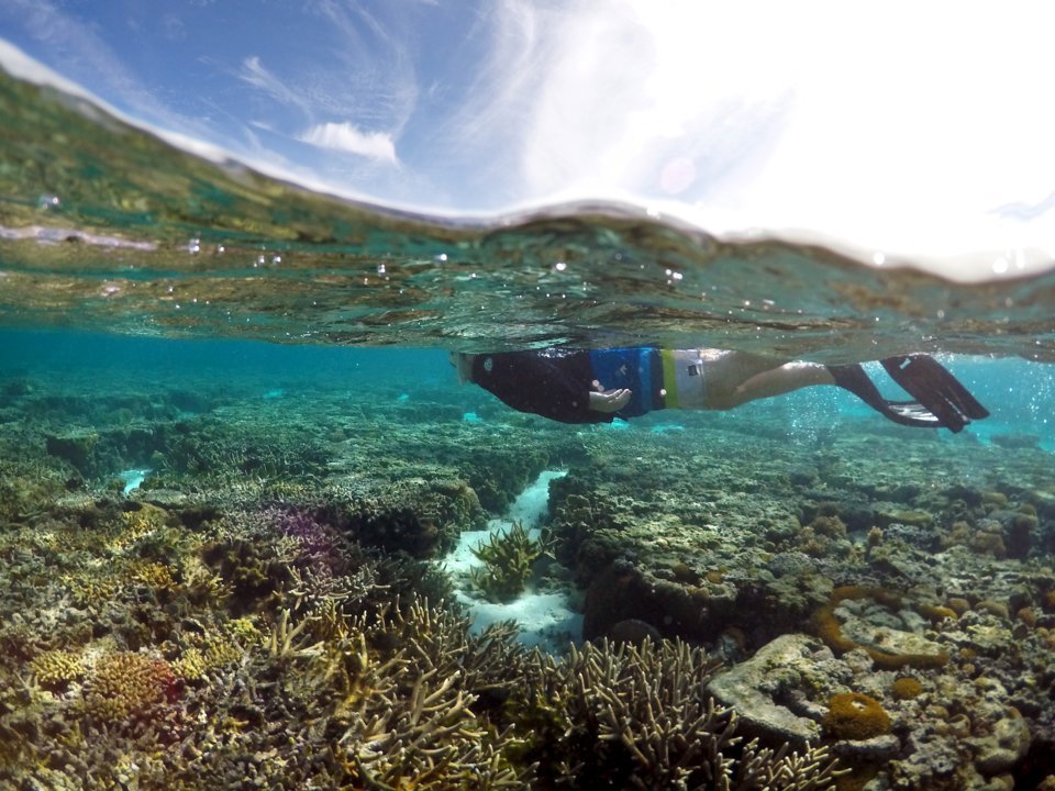 国际豪华邮轮旅行价格表,世界豪华邮轮票价和游玩时间