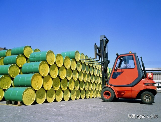 野兔偷吃大豆苗怎么办,种的黄豆野兔子老吃咋办