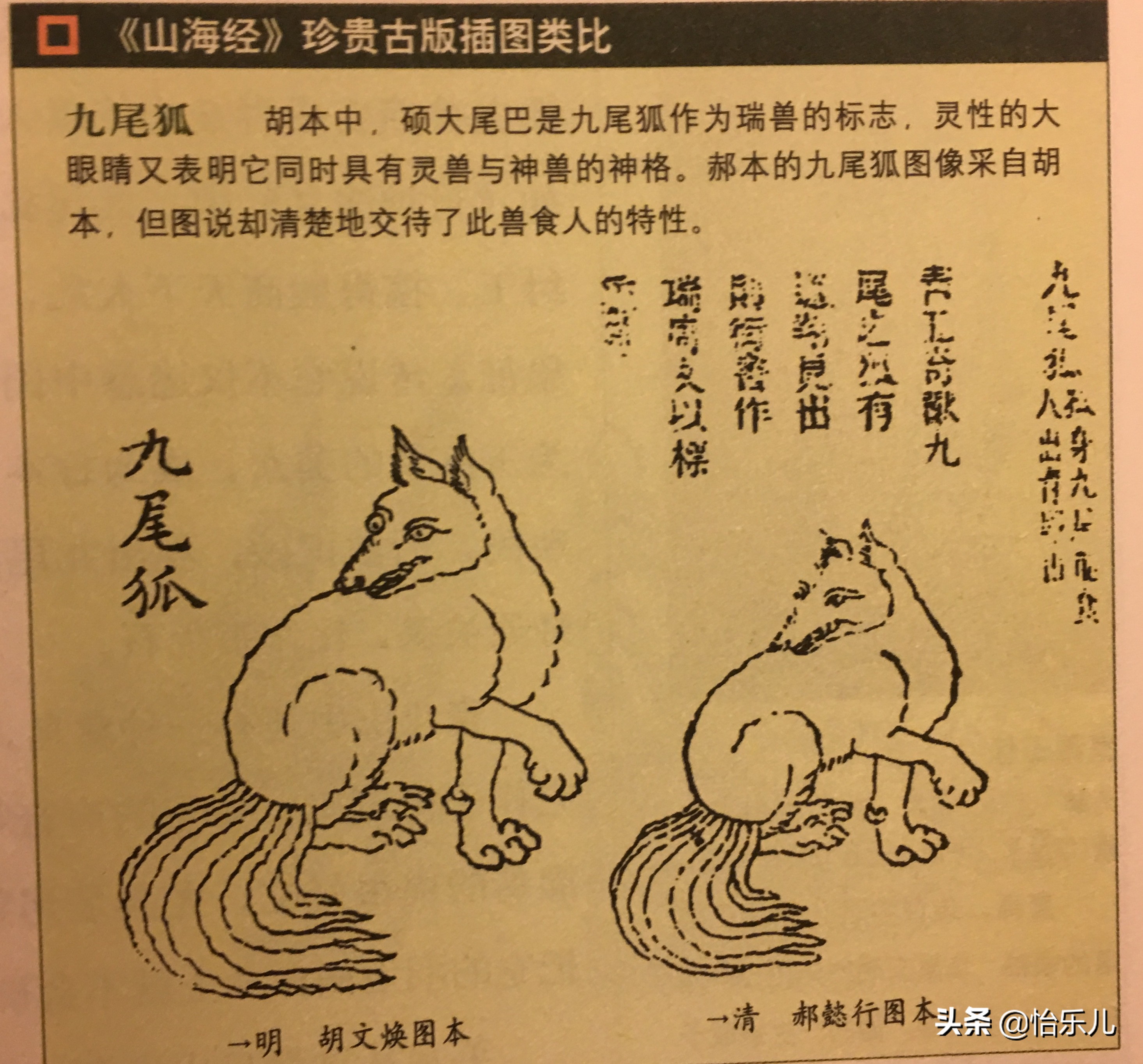 青丘之山有兽焉下一句,青丘之山里真的有九尾狐吗