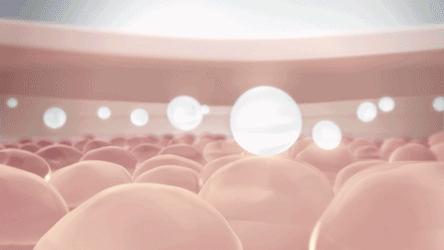 梦禾精华套盒,梦禾精华