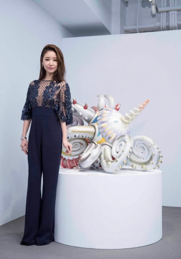 林心如被网友怼截图,林心如被采访过的视频有哪些