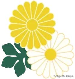 想要成为一名医生需要考多少证,想要做一个医生必须具备哪些