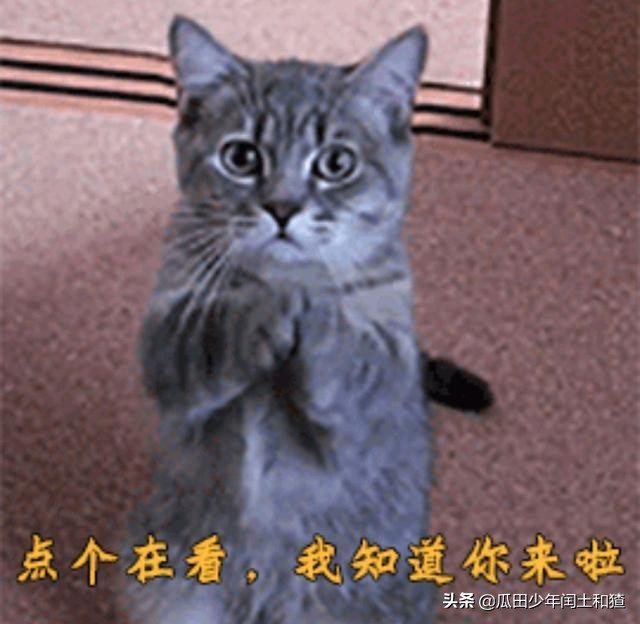 那些年QQ羞耻play，你中了几条？