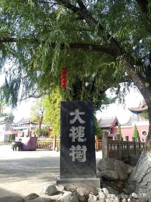 山西洪洞大槐树移民故事真实吗,山西洪洞大槐树历史事件视频